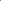 CEPILLO DESENREDANTE PALETA FUCSIA WET BRUSH